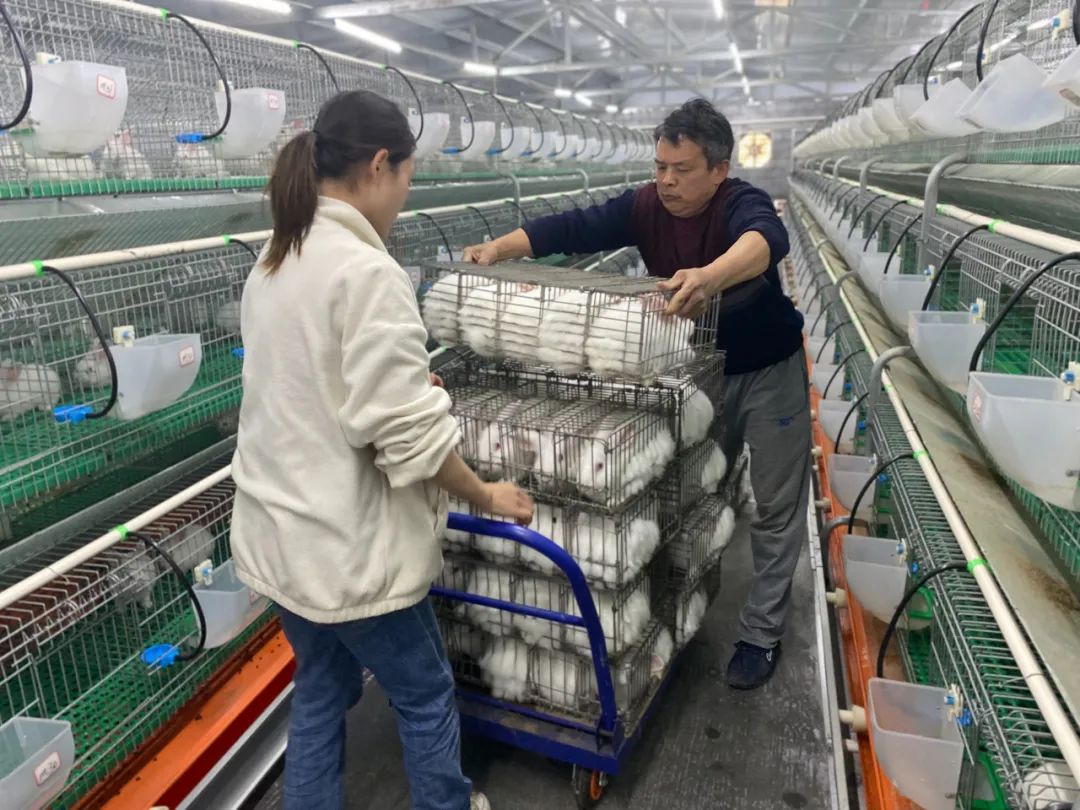 64011.jpg 币赢- 安全支付工具|专业数字钱包平台